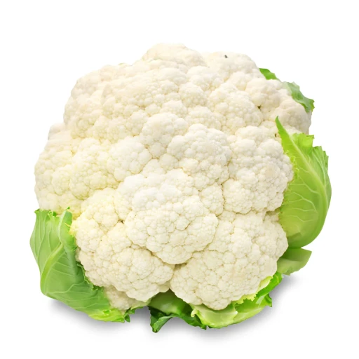 عکس گل کلم